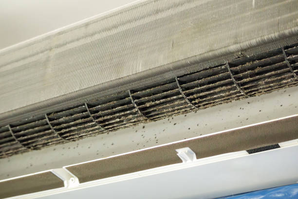 Best Air Duct Cleaning Near Me  in North Sea, NY