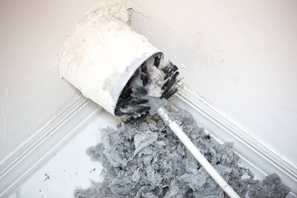 Best Professional Duct Cleaning Services  in North Sea, NY